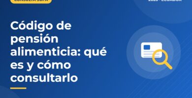 Código de pensión alimenticia: qué es y cómo consultarlo