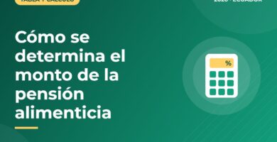 Cómo se determina el monto de la pensión alimenticia