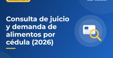 Consulta de juicio y demanda de alimentos por cédula (2026)