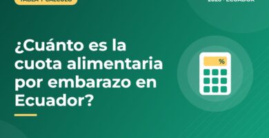 ¿Cuánto es la cuota alimentaria por embarazo en Ecuador?