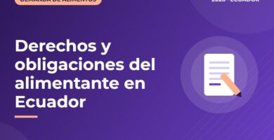 Derechos y obligaciones del alimentante en Ecuador