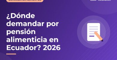 ¿Dónde demandar por pensión alimenticia en Ecuador? 2026
