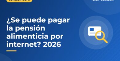 ¿Se puede pagar la pensión alimenticia por internet? 2026