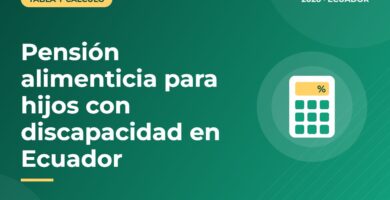 Pensión alimenticia para hijos con discapacidad en Ecuador