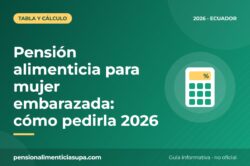 Pensión alimenticia para mujer embarazada: cómo pedirla 2026
