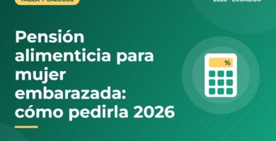 Pensión alimenticia para mujer embarazada: cómo pedirla 2026