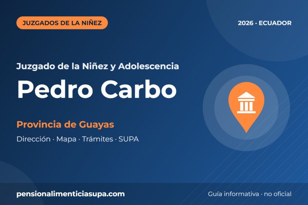 Juzgado de la Niñez y Adolescencia en Pedro Carbo