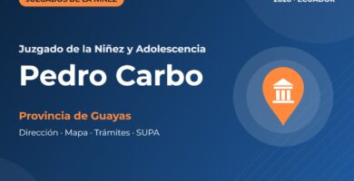 Juzgado de la Niñez y Adolescencia en Pedro Carbo