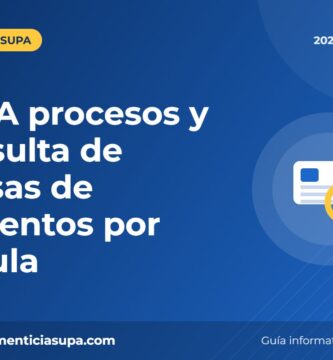 SUPA procesos y consulta de causas de alimentos por cédula